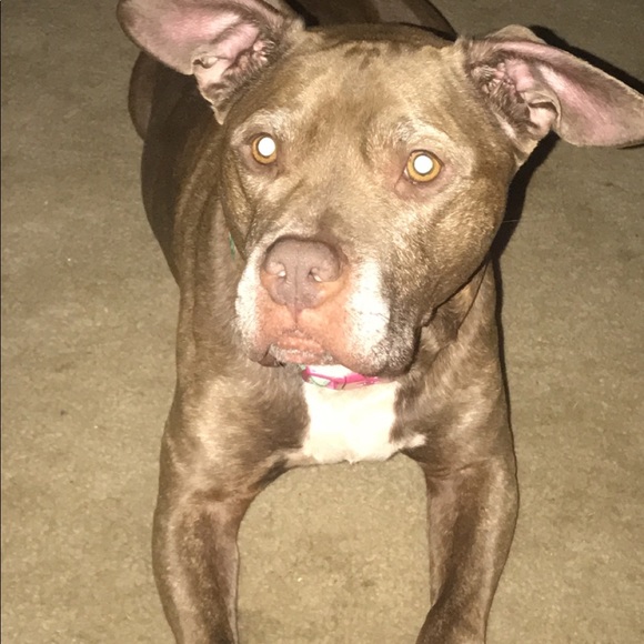 Meet your Posher, Simone - Picture 1 of 1